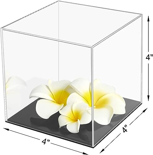 Cliselda Acrylic Display Case 4x4x4 Inch Dustproof